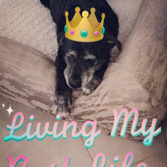 Meet your Posher, Iris - Picture 5 of 6